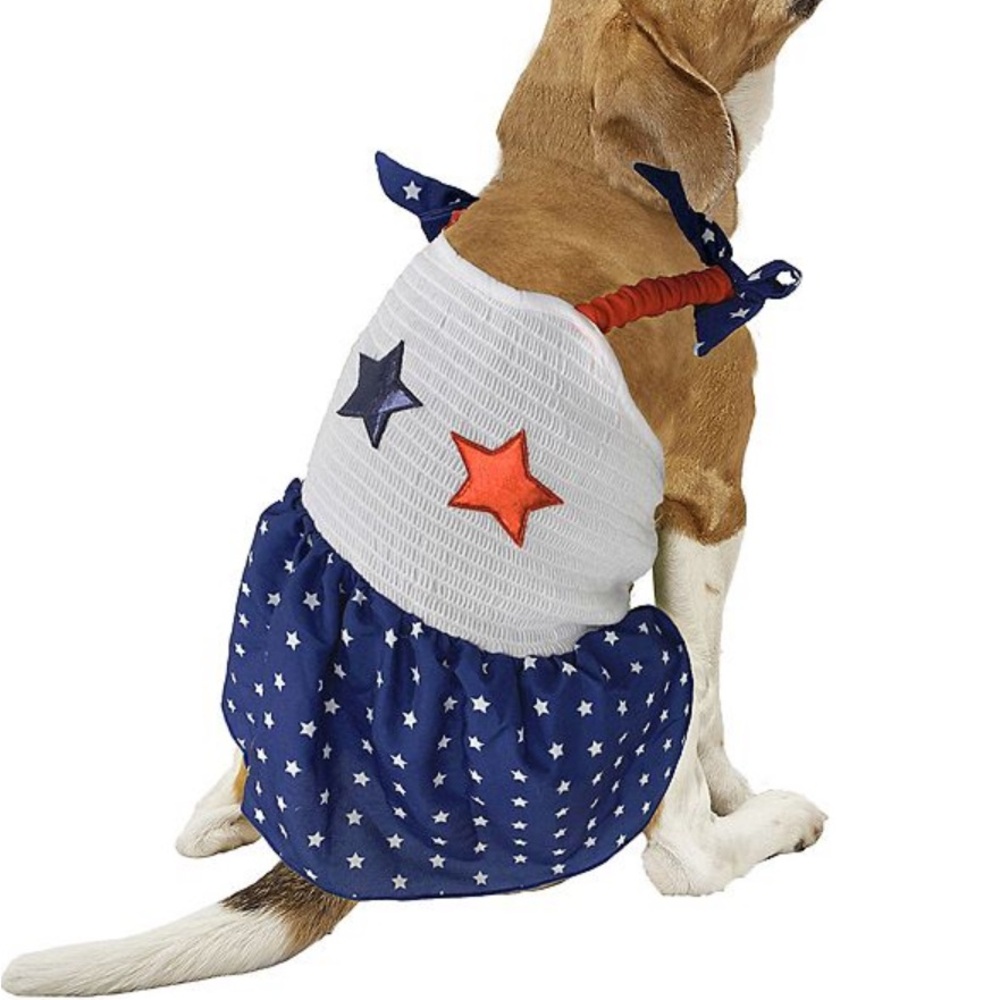 Chic Starry Dog Dress in Blue and White
